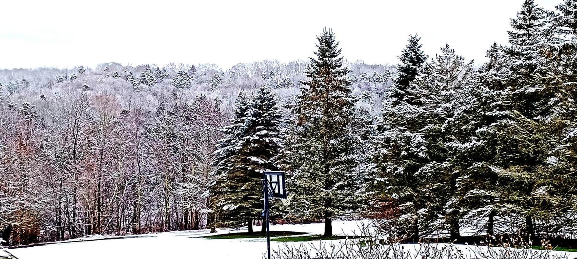 Escape To The Catskills Liberty Exterior photo